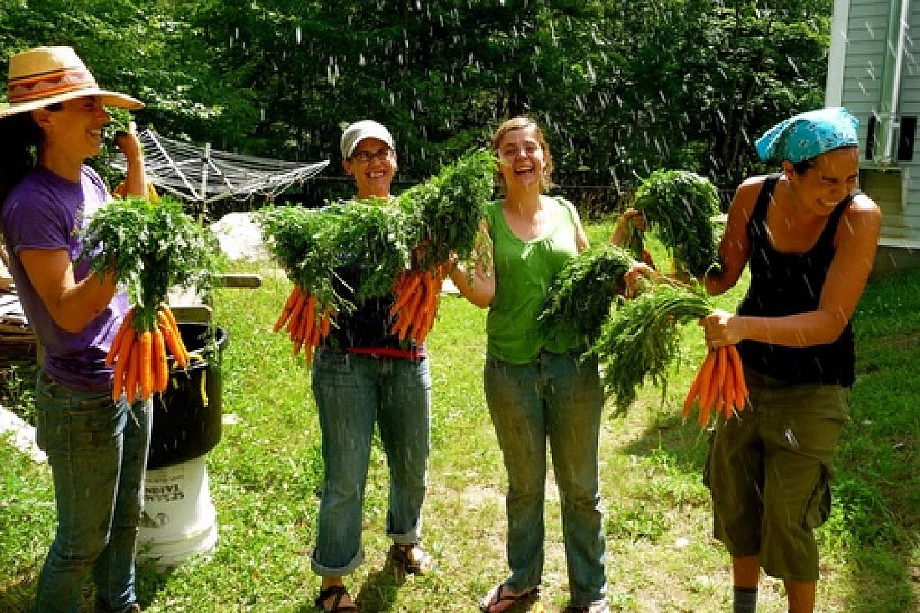 Staff and participants of the Adamah Jewish farming program wash the harvest in Falls Village, Conn., in 2010. Credit: Courtesy of Hazon.
