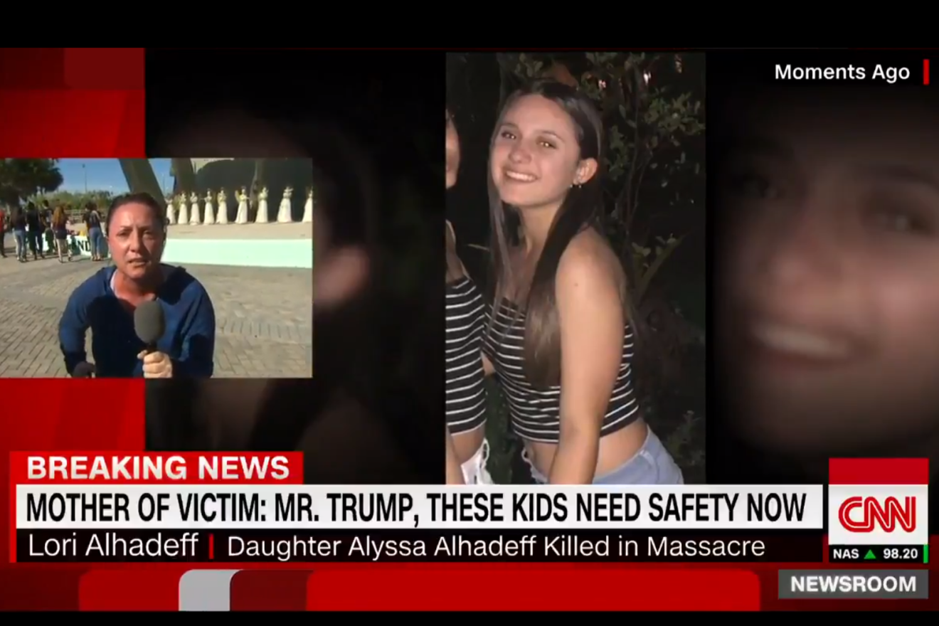 A screenshot of Florida shooting victim mother Lori Alhadeff pleading to President Donald Trump on CNN about gun control. Credit: Screenshot.