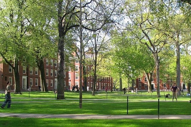 Harvard Yard on the university’s campus in Cambridge, Mass. Credit: Wikimedia Commons.