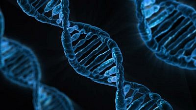 A depiction of DNA strands. Credit: Pixabay.