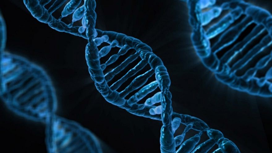 A depiction of DNA strands. Credit: Pixabay.