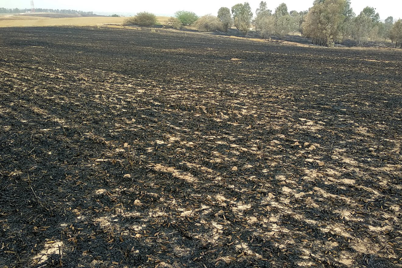 Fields of the Eshkol Regional Council in southern Israel scorched by fire caused by incendiary devices sent from Hamas in Gaza, May 6, 2018. Credit: Photo by Nizzan Cohen/Wikimedia Commons.