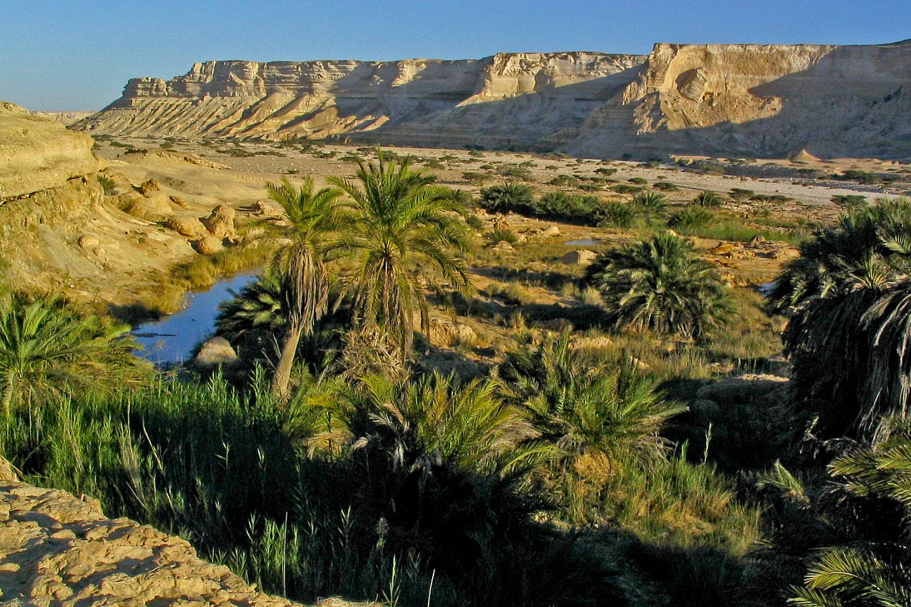 An Omani desert landscape. Credit: Wikimedia Commons via  by Hendrik Dacquin.