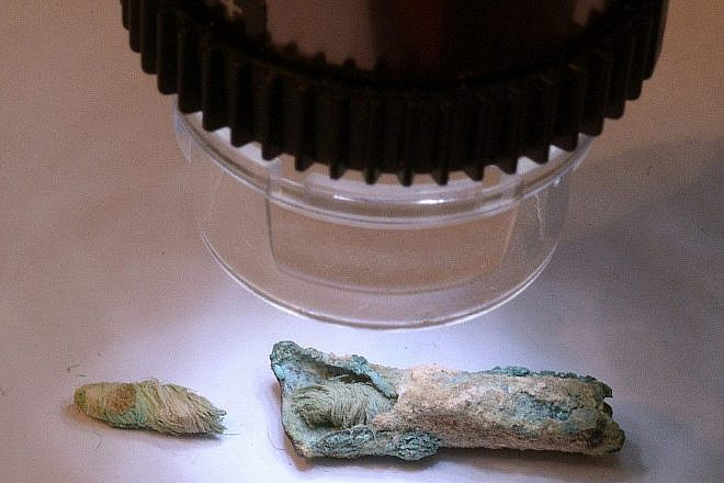 The ancient wick found at the Shivta archaeological dig in the Negev. Courtesy: Israel Antiquities Authority.