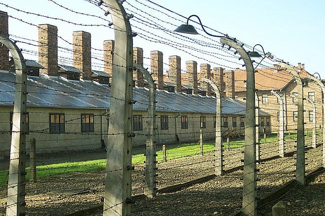 Barbed-wire perimeter fencing near by the entrance to Auschwitz I. Credit: Wikimedia Commons.