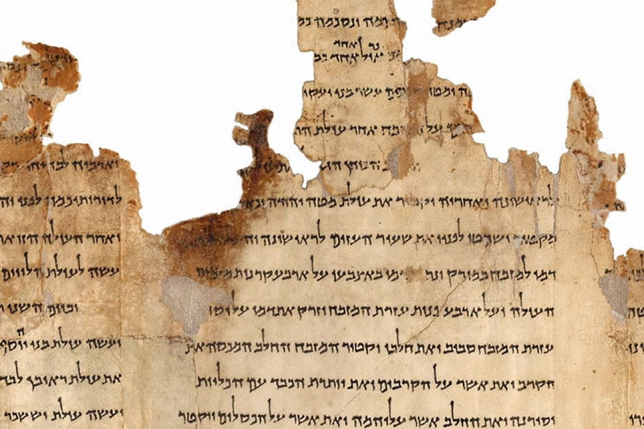 Portion of the Temple Scroll, labeled 11Q19, one of the longest of the Dead Sea Scrolls dating back to the second-century C.E. Credit: Israel Museum, Jerusalem.