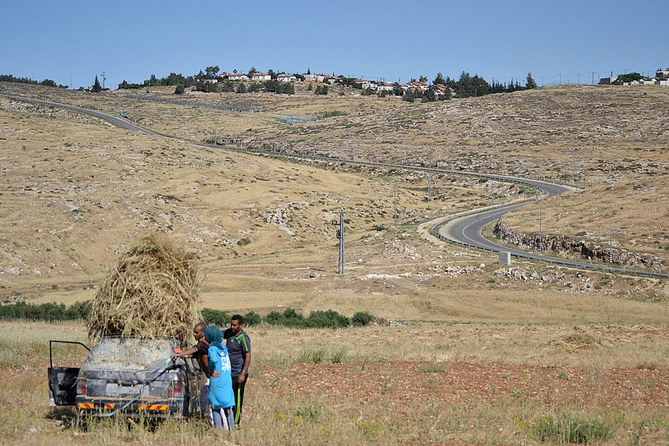 A family harvests crops in the South Hebron hills, May 18, 2016. Credit: Wikimedia Commons.