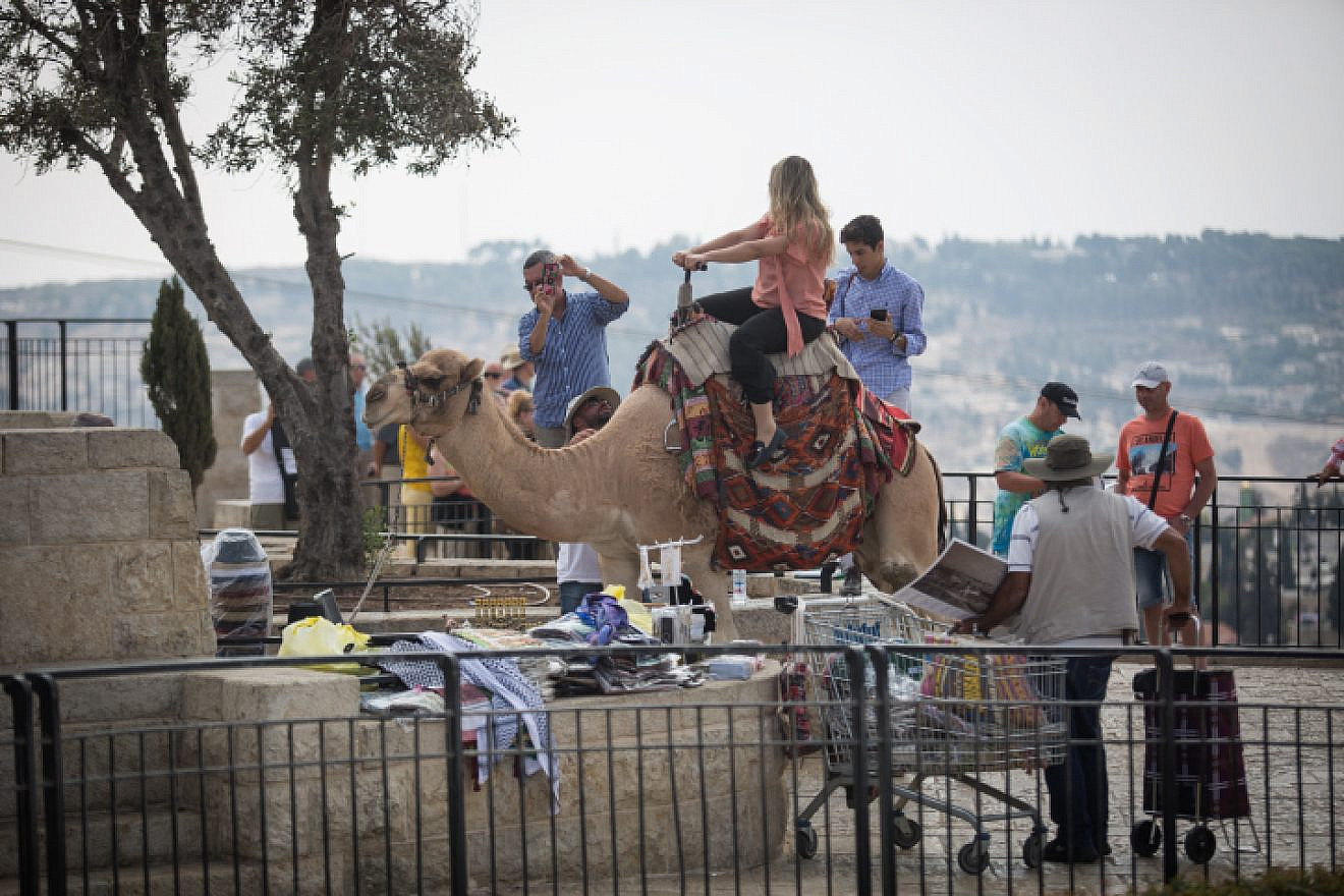 Tourists take pictures as a man gets a ride on a camel at the lookout of the Mount of Olives overlooking the Old City of Jerusalem on Oct. 11, 2018. Photo by Hadas Parush/Flash90.