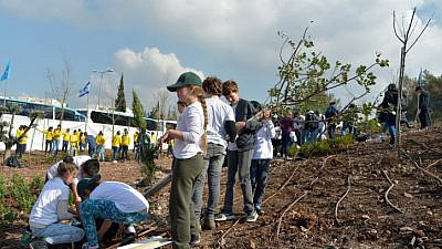 Israeli kids plant trees for the Jewish holiday of Tu B'Shevat in Haifa on Feb. 9, 2017. Photo by Yossi Zeliger/Flash90.
