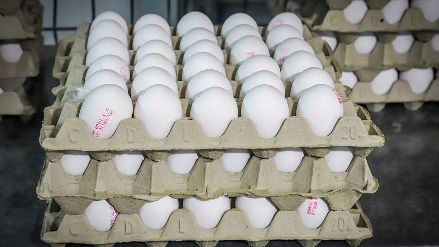 Cartons of eggs at a chicken farm in Yashresh Israel on Aug. 11, 2020. Photo by Yossi Aloni/Flash90.