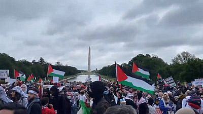 A pro-Palestinian rally in Washington, D.C. on May 29, 2021. Source: Screenshot.
