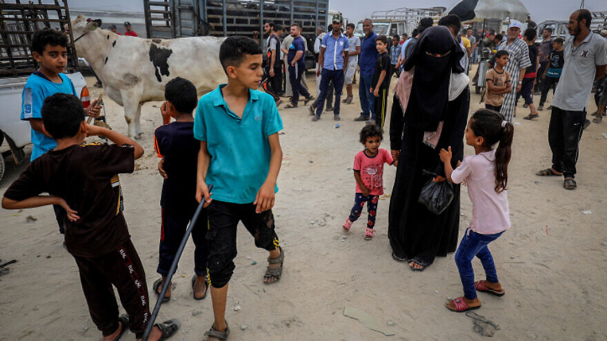 Palestinians choose sheep, cows and camels at a livestock market ahead of the Muslim holiday of Eid al-Adha, in Rafah in the southern Gaza Strip, on July 17, 2021. Photo by Abed Rahim Khatib/Flash90.