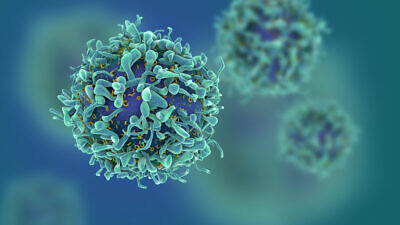 A 3D illustration of cancer cells. Credit: fusebulb/Shutterstock.
