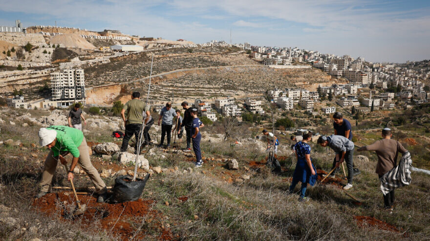 Israeli students from Ohr Torah Derech Avot school plant trees for Tu B'Shevat in an open field, outside the of Efrat, in Judea, on January 12, 2022. Photo by Gershon Elinson/Flash90