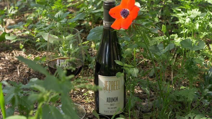 Jezreel Valley's Adumim wine. Credit: The Israel Innovation Fund.