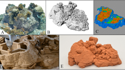 The translation of a 3D reef structure based on the reef’s biodiversity and core characteristics to generate a design for the 3D printer, followed by the evaluation of the reef reformation goals using the molecular and 3D imaging evaluation toolkit. Credit: Professor Ofer Berman and Matan Yuval from the University of Haifa.