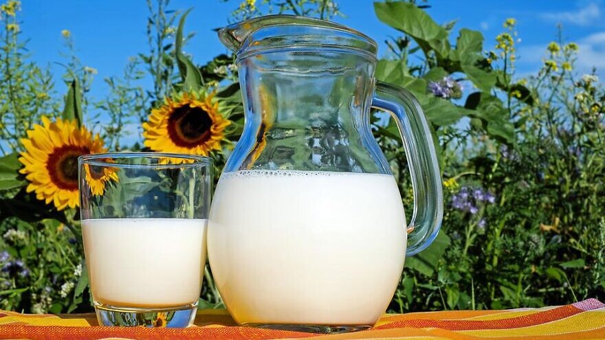Dairy, milk. Credit: Pixabay.