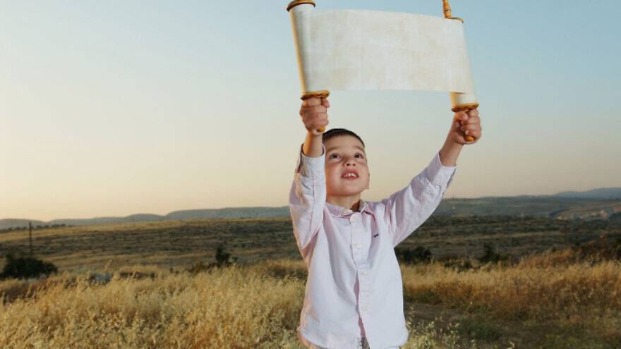 A Jewish boy holds a Torah scroll as he poses for a picture in a wheat field prior to the Jewish holiday of Shavuot. May 5, 2013. Photo by Mendy Hechtman/Flash90.