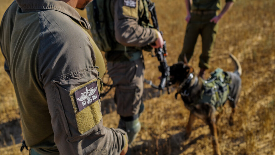 Israeli soldiers from the IDF Oketz K9 unit patrol in Kerem Shalom, on the Gaza-Israel-Egypt border, May 18, 2022. Photo by Michael Giladi/Flash90.