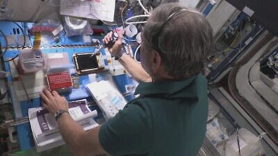 Israeli astronaut Eytan Stibbe performing the CRISPR experiment on the International Space Station. Photo courtesy of the Ramon Foundation and Israel Space Agency.