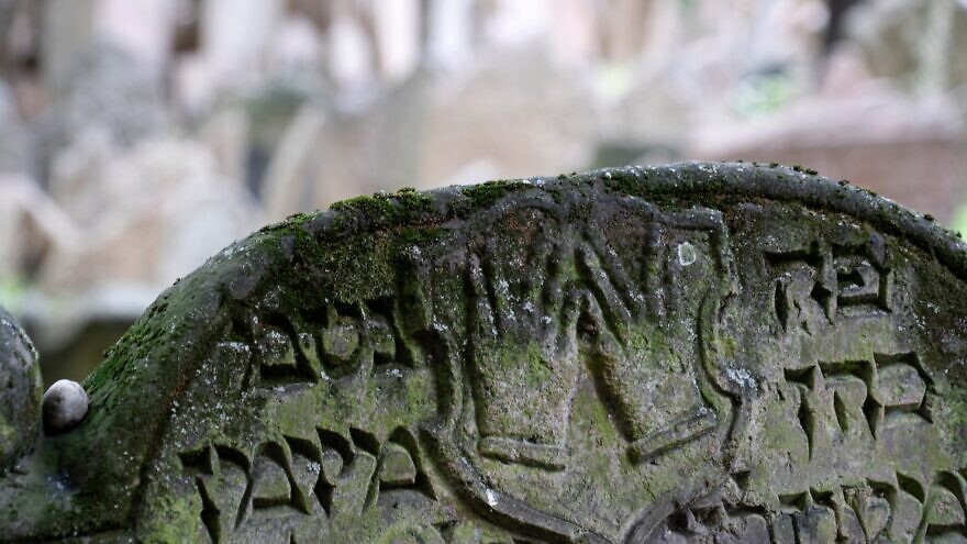 Headstone on a Jewish cemetery in Prague. Credit: Andrea Izzotti/Shutterstock.