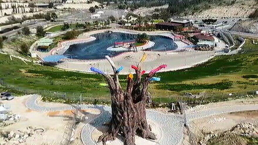 Tree of Life - Ma'ale Adumim, Shamir Park.  The Tree of Life is the biggest in the world.