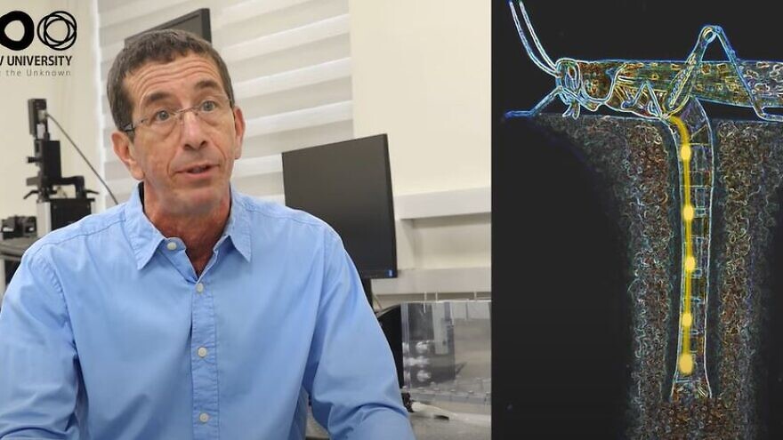 Prof. Amir Ayali of the School of Zoology in the Wise Faculty of Life Sciences at Tel Aviv University. Credit: YouTube