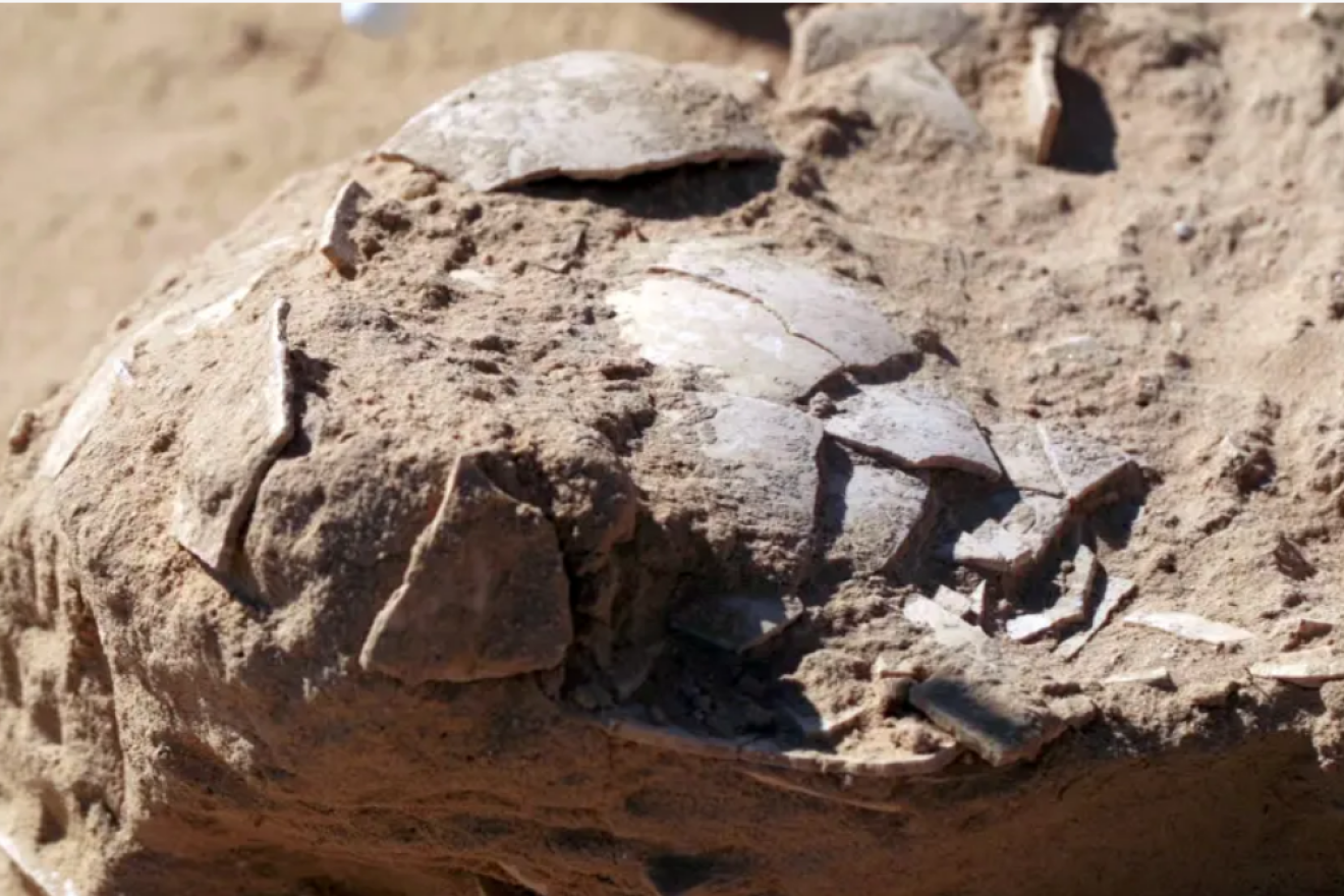 Fragments of ostrich eggs discovered near an ancient campsite in Israel's Negev Desert. Emil Aladjem/Israel Antiquities Authority.