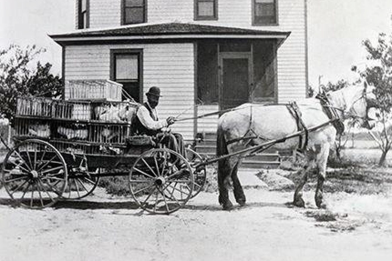 Jacob Greenblatt delivers a load of white leghorns to Vineland Station for transport to Front Street in Philadelphia in 1915. Source: stockton.edu.