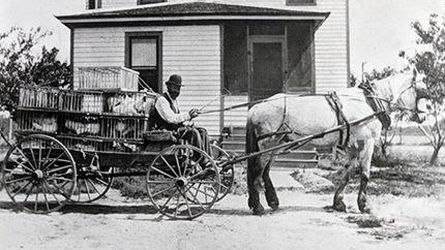 Jacob Greenblatt delivers a load of white leghorns to Vineland Station for transport to Front Street in Philadelphia in 1915. Source: stockton.edu.