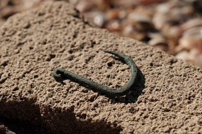 A 6,000-year-old copper fishhook. Credit: Emil Aladjem/Israel Antiquities Authority.