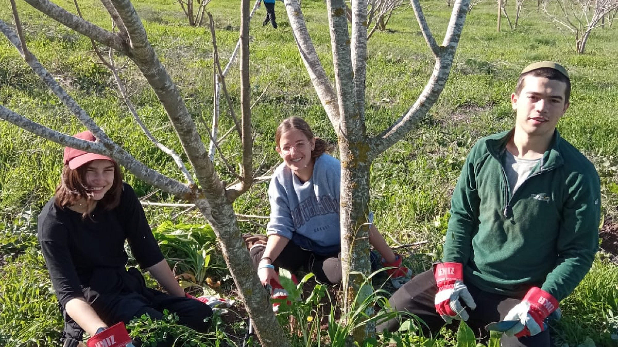 Rina Dee (center) and fellow volunteers in an orchard at Moshav Bar Giora, located between Jerusalem and Beit Shemesh. Credit: HaShomer HaChadash.