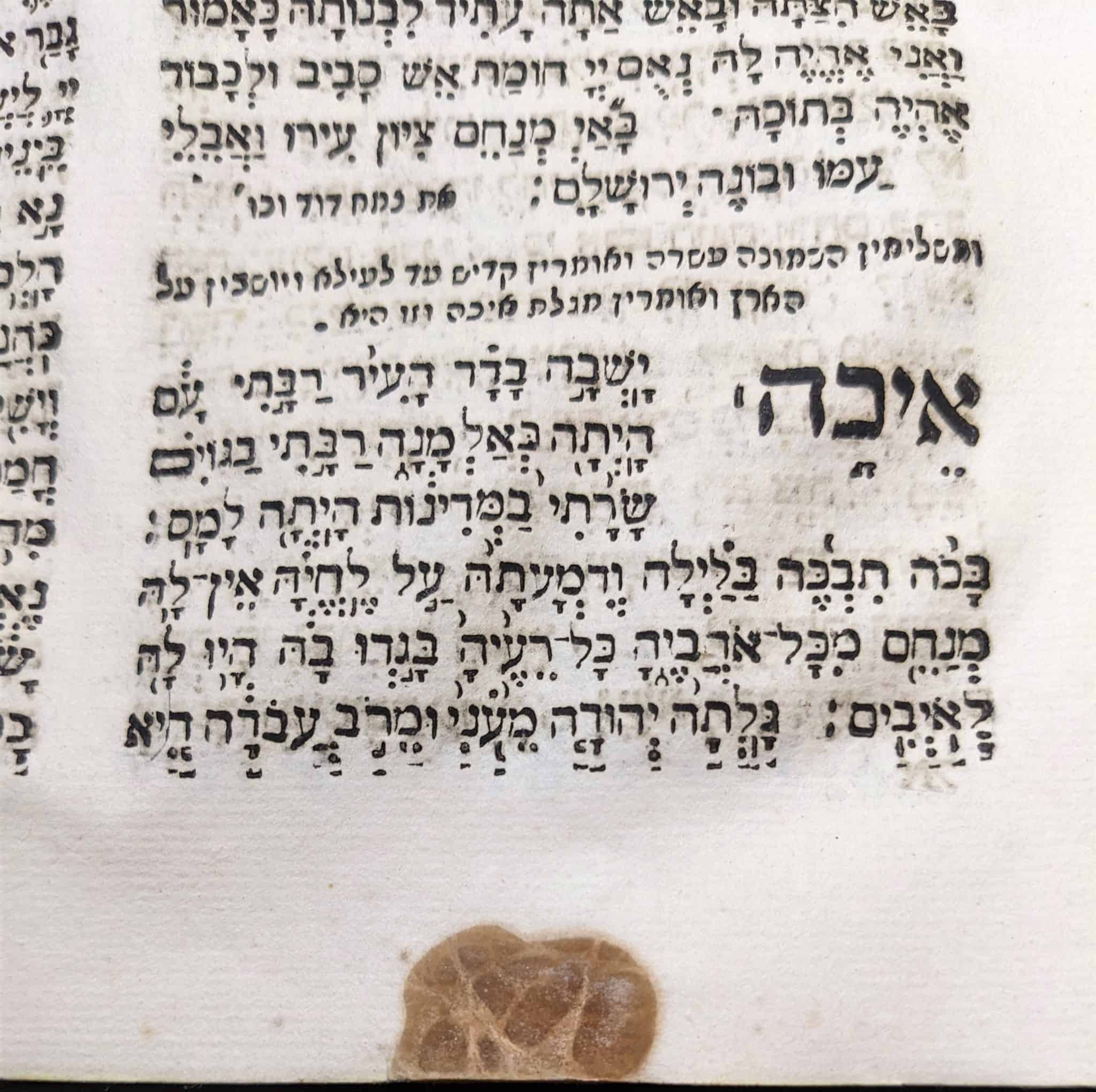 Eicha, Book of Lamentations, Tisha B'Av