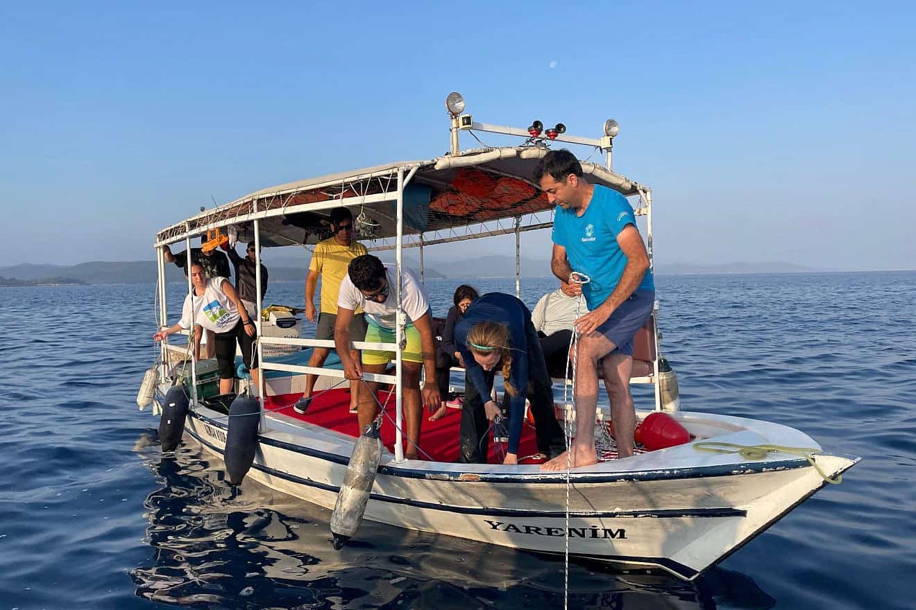 Dr. Aviad Scheinin, Dr. Leigh Livne and Turkish team members deploy a bottom longline at 60 meters’ depth in Boncuk Bay, Turkey. Photo by Akdeniz Koruma/Mediterranean Conservation Society.