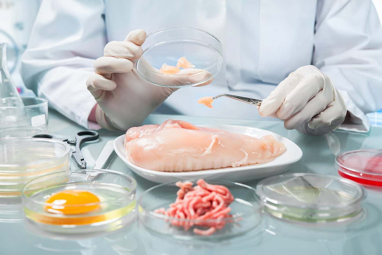 Food inspection in a lab. Credit: Alexander Raths/Shutterstock.
