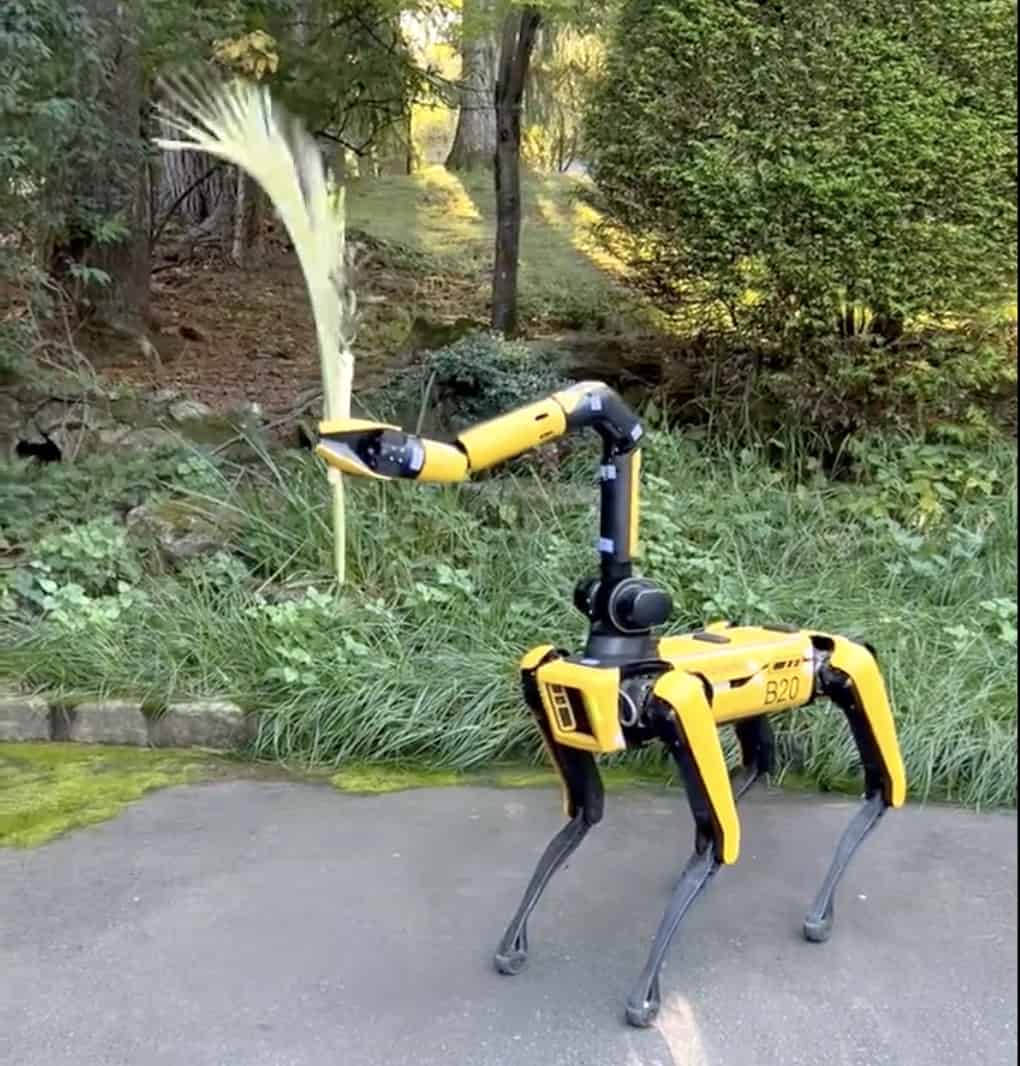 Robot lulav