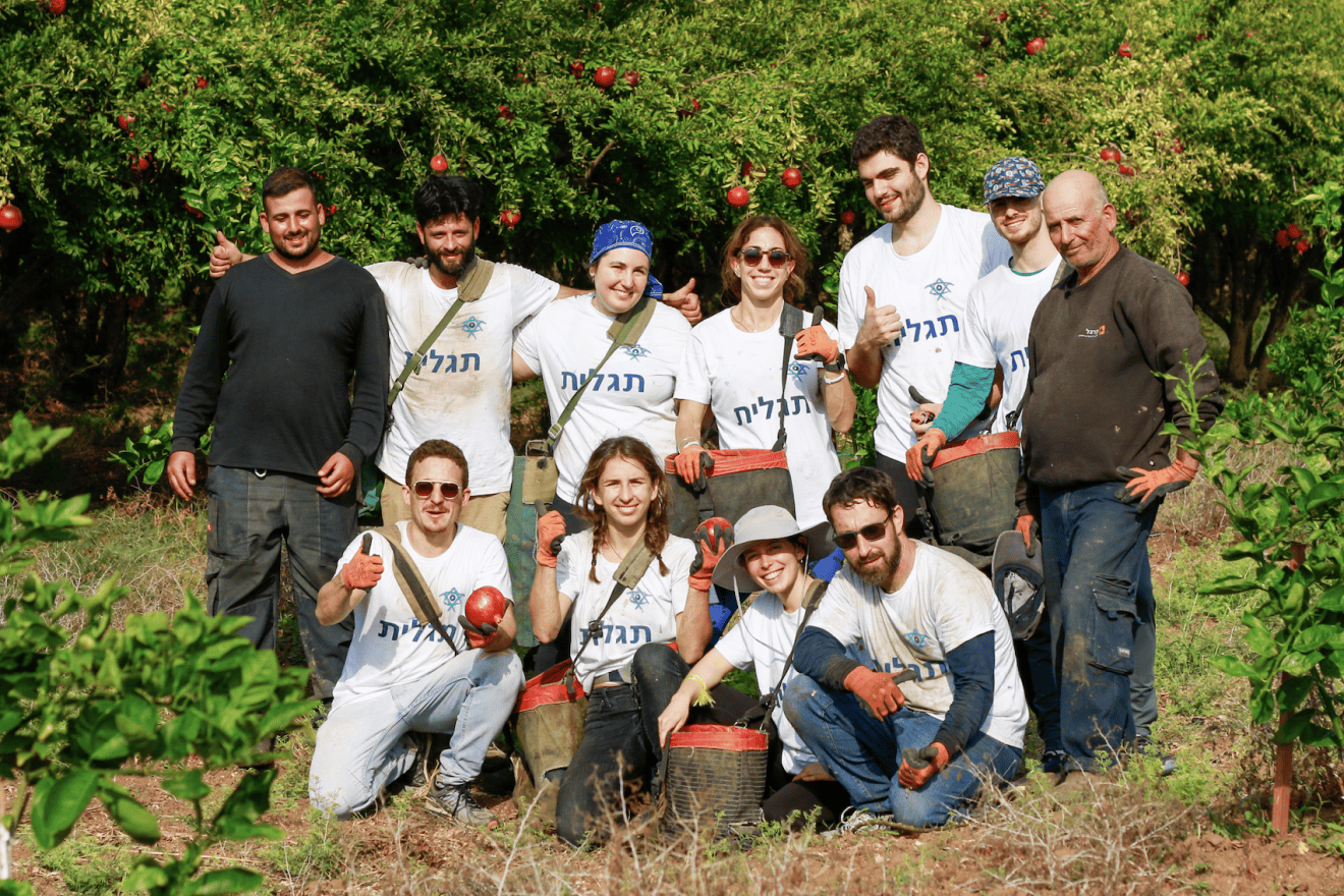 Birthright Israel alumni have been flocking to Israel to volunteer on its Onward program since the Hamas terrorist attacks on Oct. 7, 2023. Credit: Omer Melamed, Courtesy of Birthright Israel.