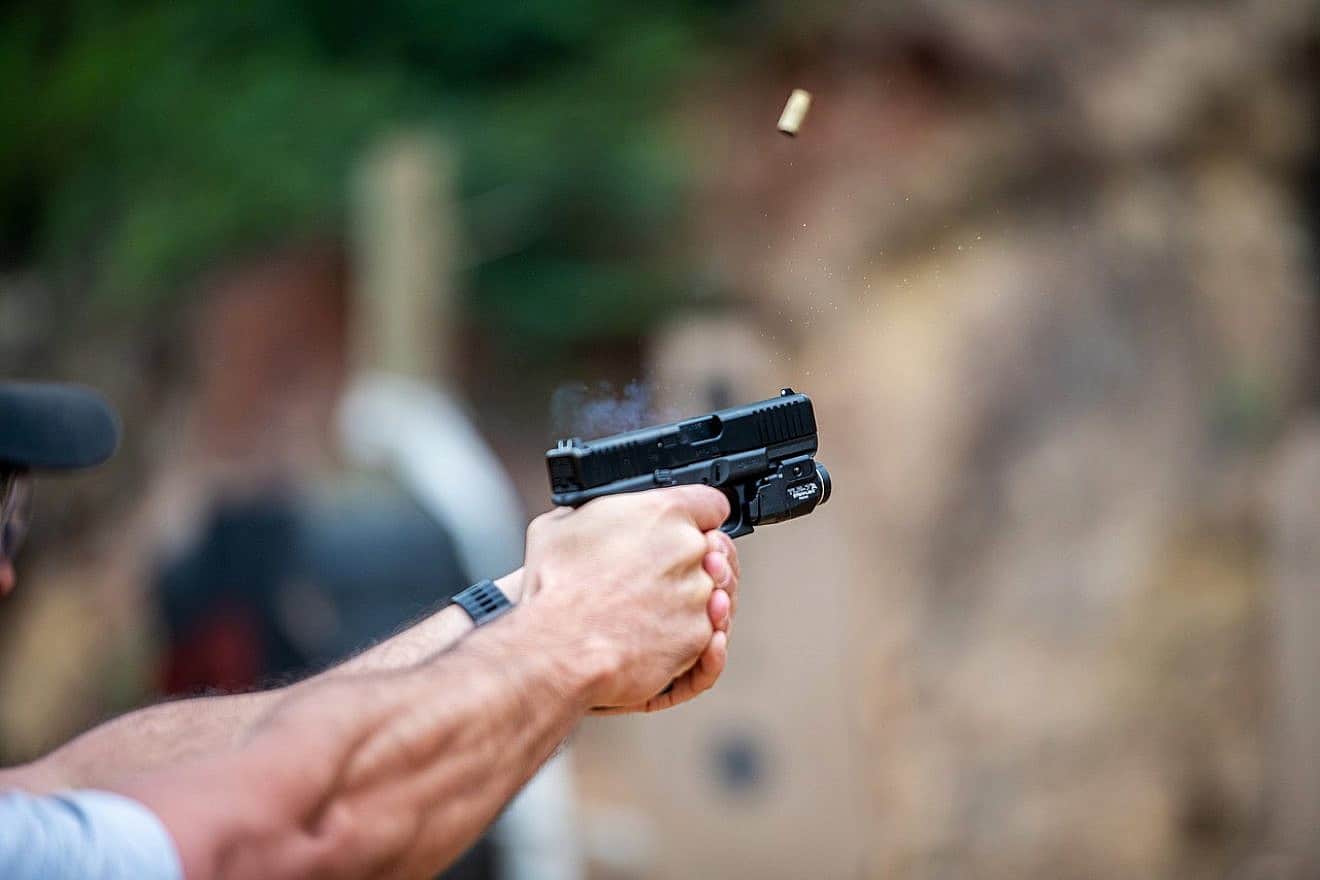 Guns and self-defense. Credit: Paulsaa/Pixabay.