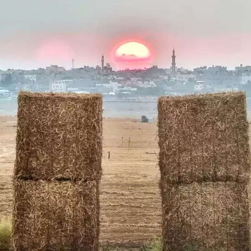 A field at Kibbutz Nir Oz against the backdrop of the sun setting on Gaza. Photo by Shahar Vahab.