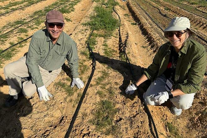 Tim and Lauren Mescon volunteer on an onion farm in southern Israel. Credit: Jewish National Fund-USA.
