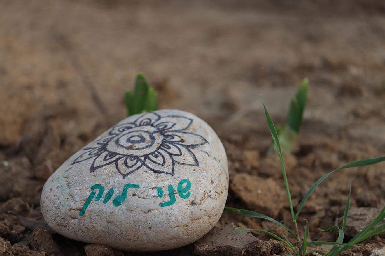 A stone with the name Shani Louk. She was last seen in a video on Oct. 7, being paraded naked through the streets of Gaza by Hamas terrorists. Photo by Batya Sharabi/TPS.