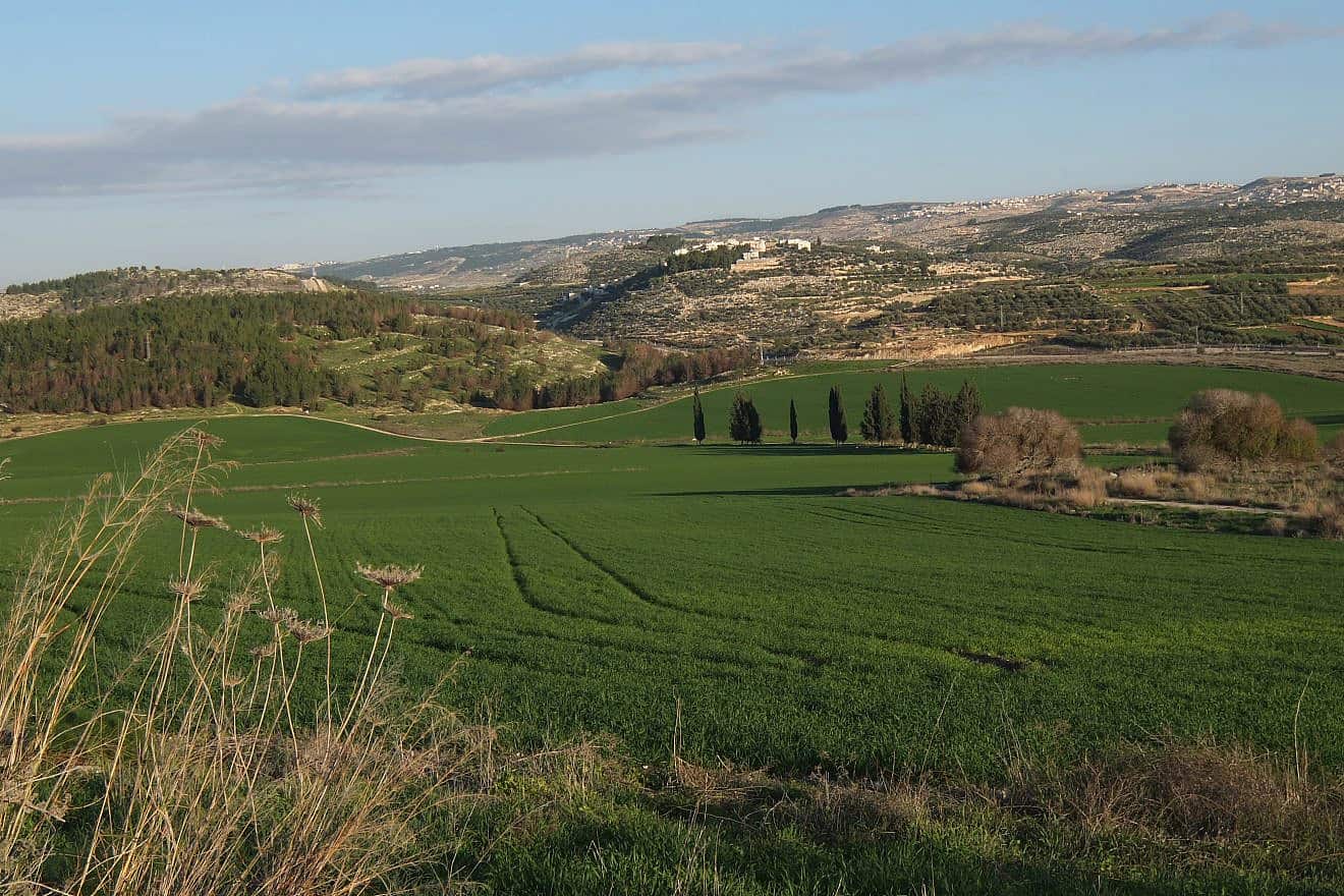 The Elah Valley in southern Israel near the ancient ruin of Adullam. Credit: David Bena via Wikimedia Commons.