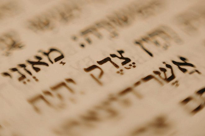 Words from a Torah passage. Source: Cottonbro studio/Pexels.