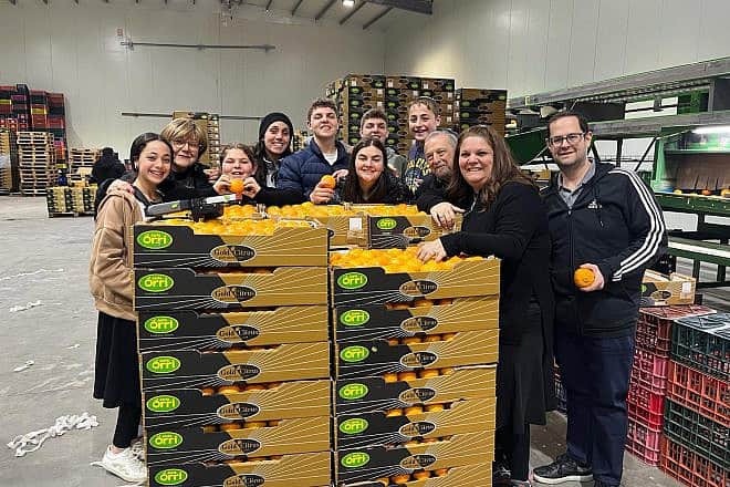 The Posner family from Woodmere, N.Y., and the Wiesel family from Edison, N.J., pack oranges in Pa'amei Tashaz, Israel, as part of a solidarity mission in the wake of the Oct. 7 terrorist attacks. Credit: Courtesy of AFYBA.