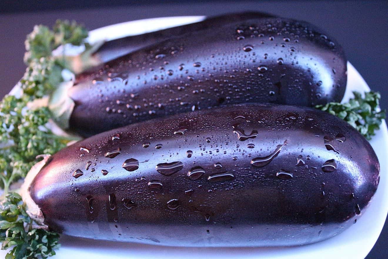 Eggplant. Credit: furbymama/Pixabay.